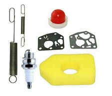 Briggs & Stratton Quatro