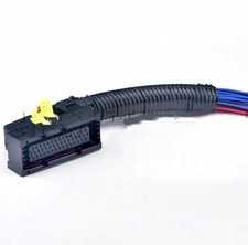 Baum Einbau ECU Mercedes 46PIN